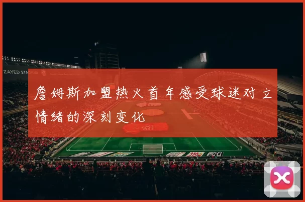 詹姆斯加盟热火首年感受球迷对立情绪的深刻变化